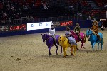 Quadrille - 00497